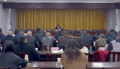 学习贯彻党的二十届四中全会精神区委宣讲团走进程河镇