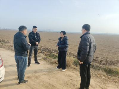 张家集镇人大代表到张咀村调研特色产业发展