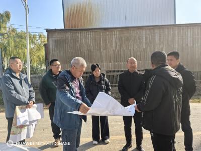 区领导调研全域国土综合整治工作