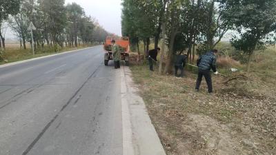 龙王镇：人大精准监督 擦亮秋收后乡村宜居底色