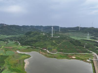 建红色乡村 谋幸福之路 —记襄州区人大代表 向湾村支部书记 向瑞