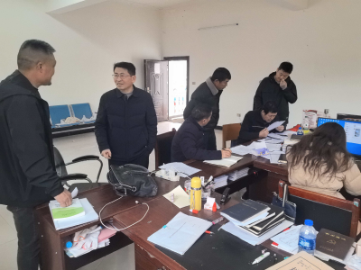 峪山镇:紧盯“三资”管理痛点  精准监督助推整改