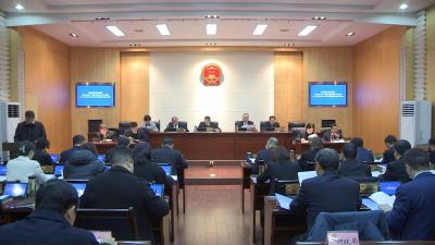 区第六届人大常委会召开第二十九次会议