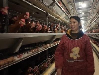 “零投资”接电送上“硬支撑”