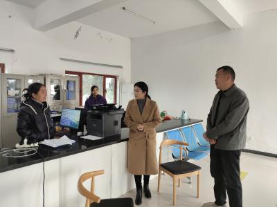 现场办公靶向督办 精准履职惠民生