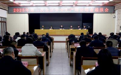 2025年第二次全区安全生产暗访暗查通报会召开