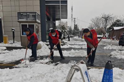 区公共资源交易中心：闻雪而动，除冰扫雪保畅通