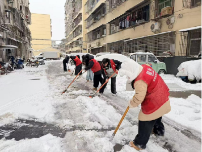 育红社区：以雪为令聚合力  暖心除雪护民生