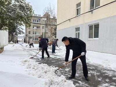 人大代表齐上阵  扫雪除冰暖民心