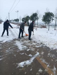 张家集镇人大代表迎寒上阵 浴“雪”护航群众出行