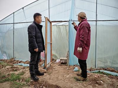 黄龙： 代表走进大棚 助力抗灾减损