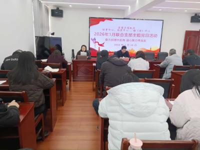襄州审计系统开展联合主题党日 聚力新年开新局
