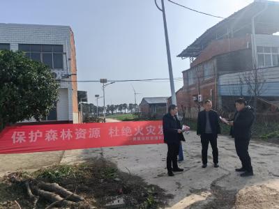 黄集镇：落实管护机制  守护绿水青山