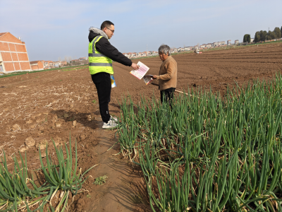 阳春三月，禁种铲毒正当时