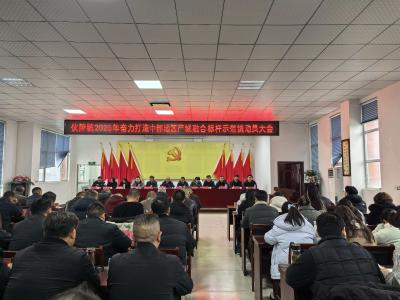 伙牌镇：暖春动员提精神 产城融合促发展