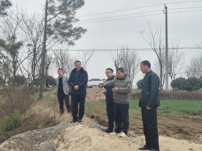 黄龙镇人大田间履职察长势 心系粮仓保丰收