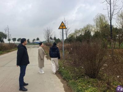 程河镇：人大、政协齐发力 紧盯节后环境整治 以监督履职擦亮和美乡村底色