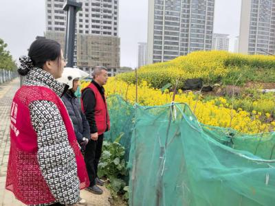 浩然街道人大工委深入社区开展禁种铲毒排查工作
