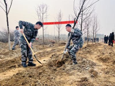 黄龙镇：退役军人忙不停 六两河畔添新绿