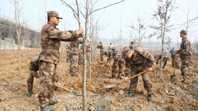 栽下青春树  种下强军梦——襄州区人武部组织预定新兵开展主题植树活动
