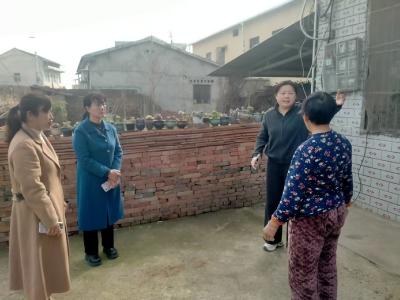 程河镇人大代表深入基层听民意、察民情、解民忧