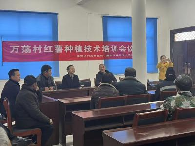 峪山万荡村：专家田间“把脉” 科技赋能春耕