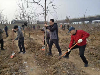 襄州区审计局：“植” 新绿 谱新篇