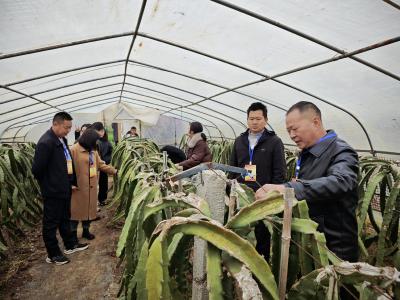黄龙：汇聚代表智慧 共谋产业发展合力