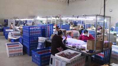 小风扇撬动大产业  家门口就业促振兴