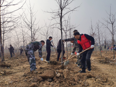 植绿造林添新绿  政策宣传暖人心