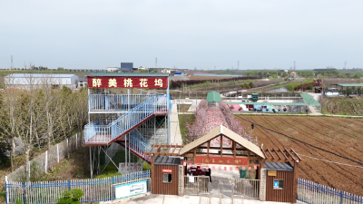 阳春三月桃花艳 醉美黄龙迎客来