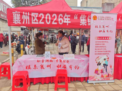 朱集镇：归乡青年聚一堂 情牵家乡共逐梦