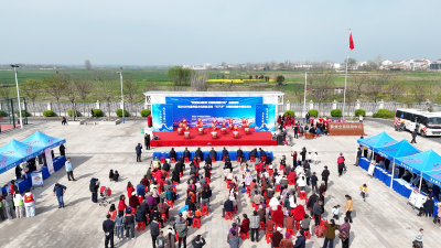 襄州这场“学雷锋”文明实践集市 把暖心服务送到家门口