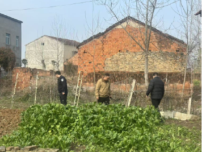 峪山镇：无人机+铁脚板 全域踏查守净土 禁种铲毒筑防线