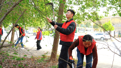 朱湾社区：学雷锋践行动 环境整治惠民生