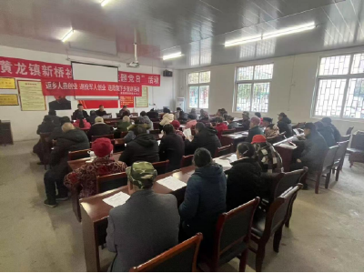 黄龙镇：政策宣传零距离 惠民服务暖人心 