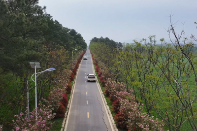 五十公里景观路网 点亮黄龙乡村振兴路