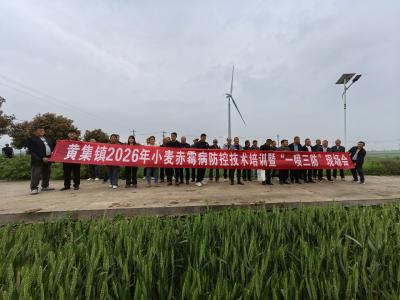 黄集镇召开小麦赤霉病防控暨“一喷三防”现场会