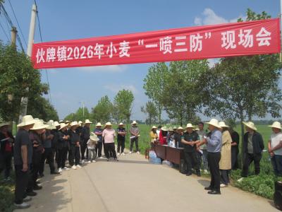 科技助农守粮仓 伙牌镇召开小麦“一喷三防”现场会