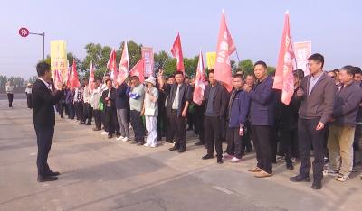 良种赋能稳粮仓  实地鉴种增信心