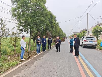 代表履职践初心 爱国卫生美乡村