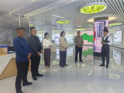 聚力招商谋发展 代表履职显担当
