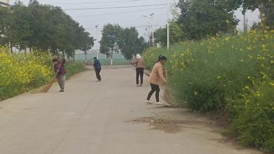 爱国卫生月｜程河镇“净”候美好 守护健康家园