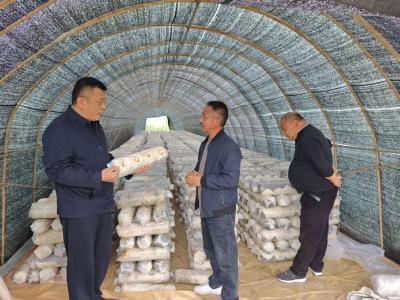 外出取经拓产业 以商招商促振兴