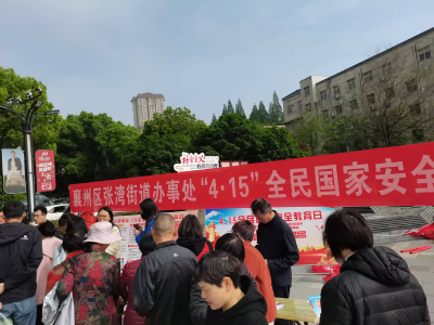 巾帼聚力筑防线 安全宣传进万家 