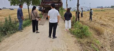 朱集镇：争分夺秒抢农时 全力以赴保丰收