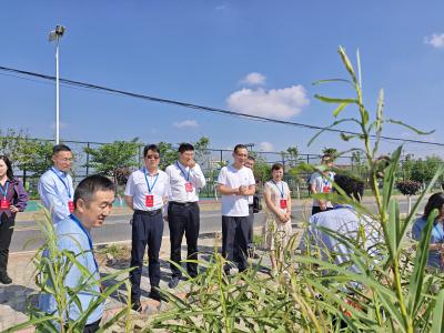 一线协商赋能非遗传承发展