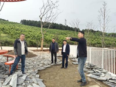 专项视察重点工程 以监督助力项目高质量推进