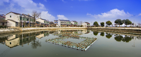 黄州区陈策楼镇王福湾村实施四大工程侧记