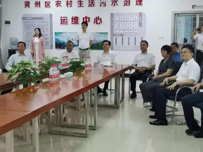 黄州区乡村振兴和“协商在一线”工作迎来省领导调研